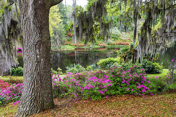 Middleton Place