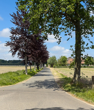 The area where Leonie Sierens was born in Adegem, called Malecote IMG_6633
