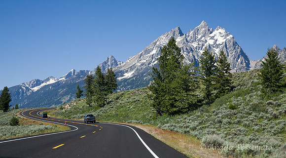 "I haven't been everywhere, but it's on my list." Susan Sontag