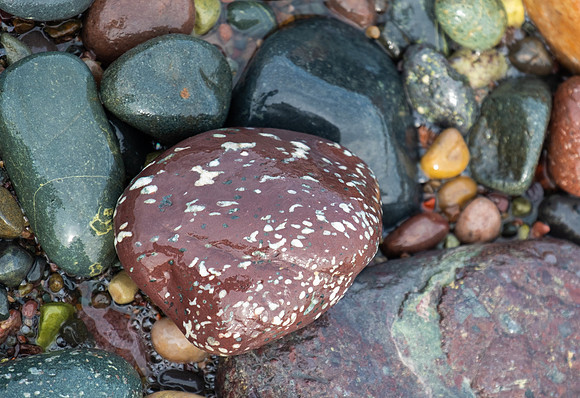 spotted rocks