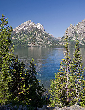 Jenny Lake