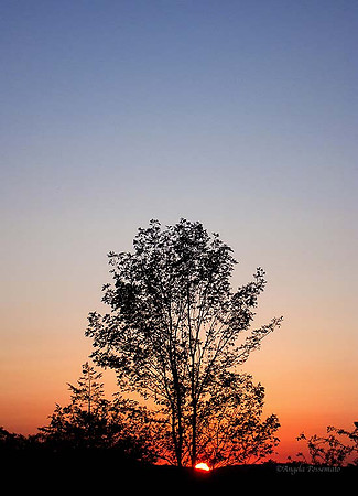 Bare Hill, Canandaigua Lake