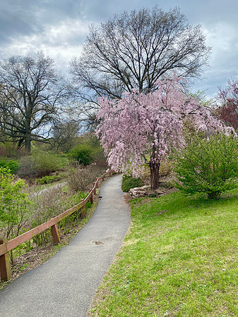 Highland Park, Rochester