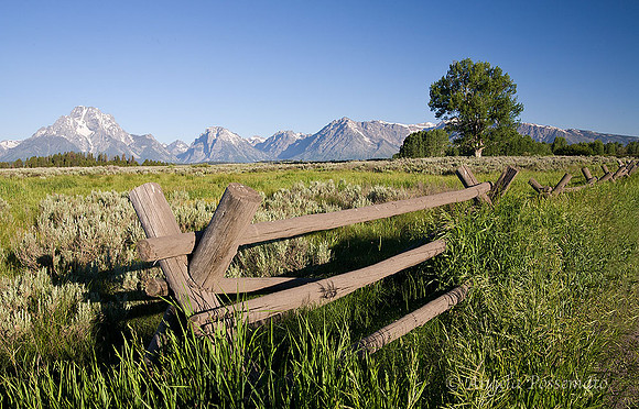 Cattleman's Bridge