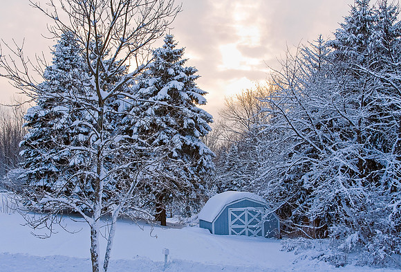 Winter