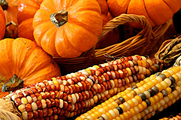 Finalist in BetterPhoto.com monthly contest "Seasonal" theme, 2009