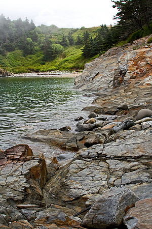 Smuggler's Cove