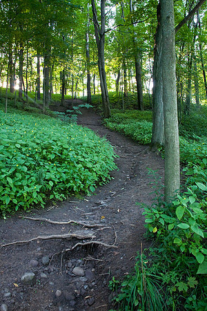 Chimney Bluffs State Park