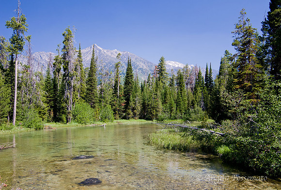 Phelps Lake Outlet