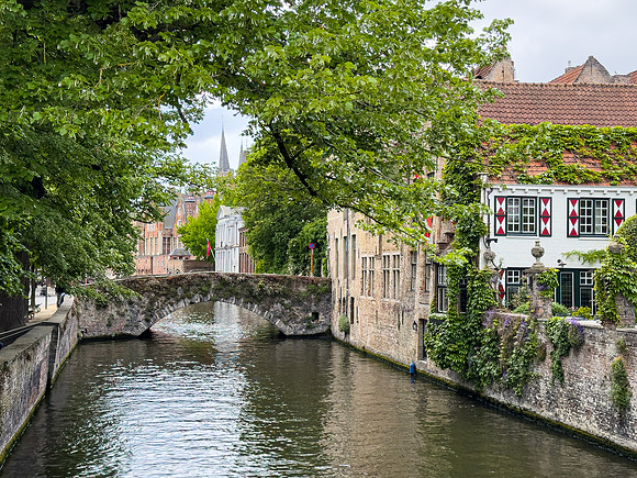 IMG_6843