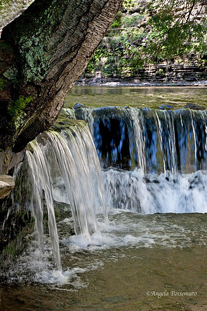 Stony Brook State Park