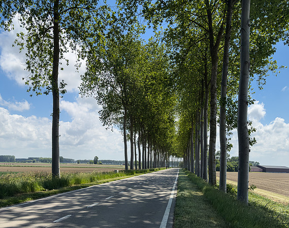 IMG_6599 country road between Waterland and Watervliet, right on the Netherlands border