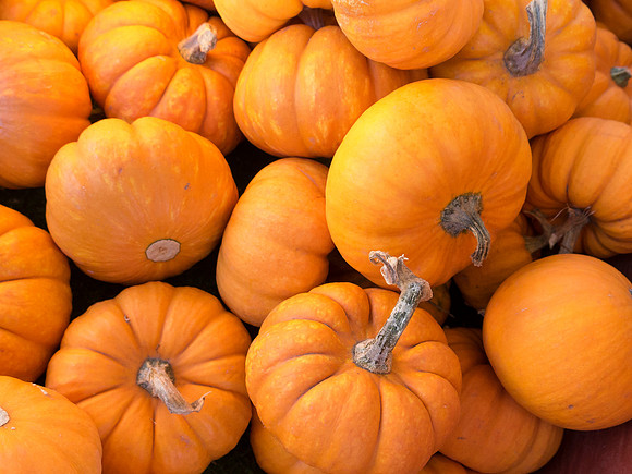 small signs of the season