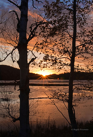 Lake Durant sunset