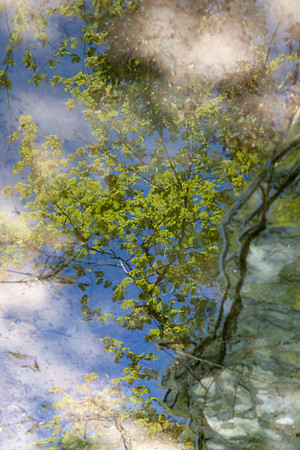 Above the Surface