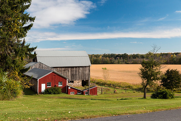 barn near Walworth, NY