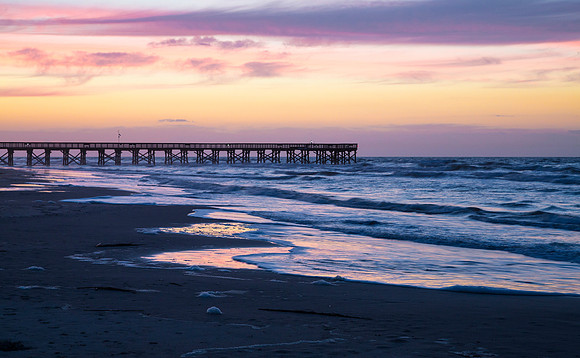 "Beauty is a form of nutrition for the soul." ~ Judith Hanson Lasater