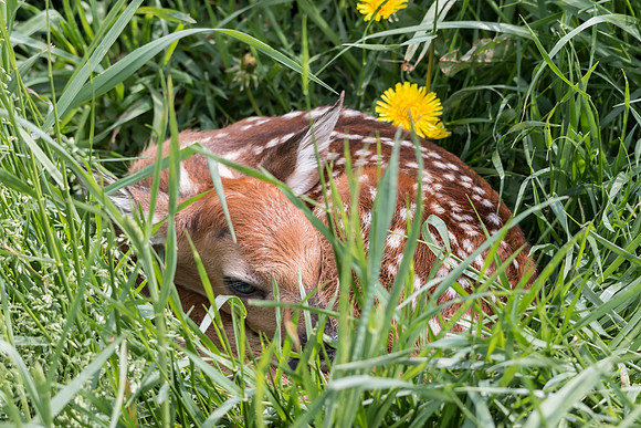 So small and sweet!