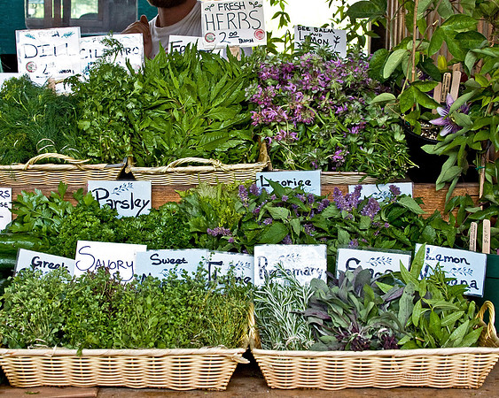 fresh herbs at the Ithaca Farmers' Market