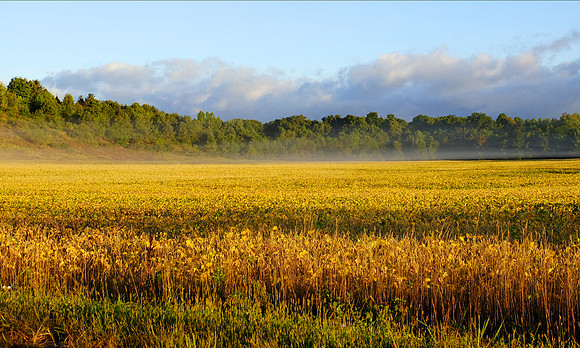 Early Fall Morning