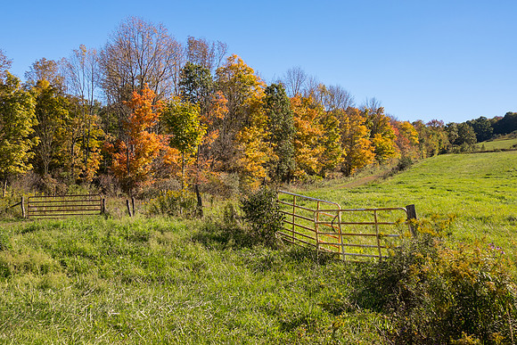 along Rte 79