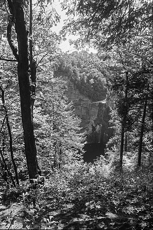 digitized from b&w film