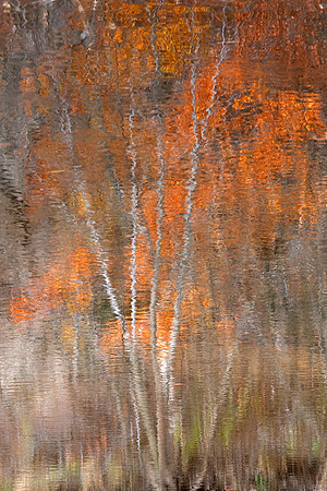 Autumn Reflections