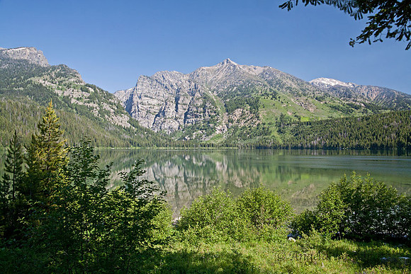 Phelps Lake - on the LSR Preserve